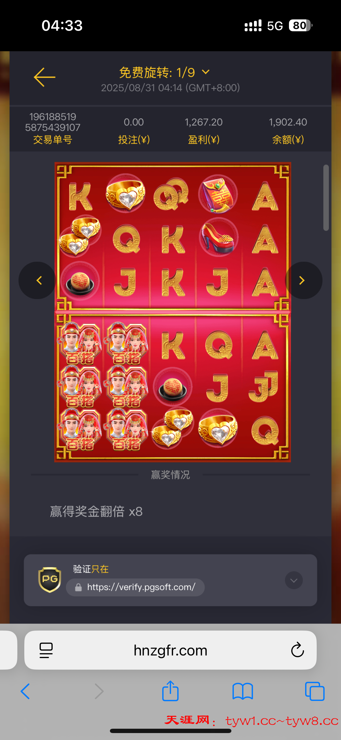IMG_3569.png